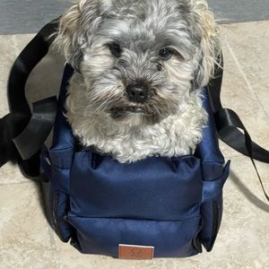 Dog console car seat